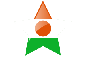 尼日尔国旗星图标