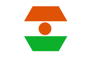 尼日尔国旗矢量免费|SVG 和 PNG