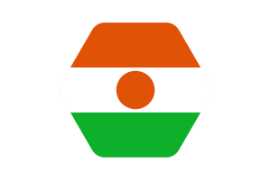 尼日尔国旗矢量插图
