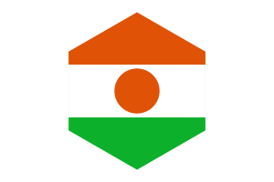 尼日尔国旗六边形