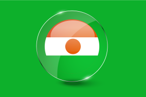 尼日尔国旗光泽圆形按钮