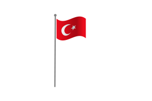 挥舞着奥斯曼帝国的旗帜