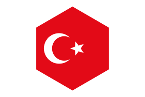 奥斯曼帝国旗帜六边形