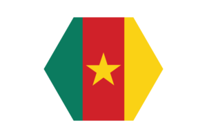 喀麦隆国旗矢量免费 |SVG 和 PNG